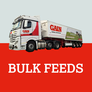 GAIN Dairy Breeder 15% Nut Bulk