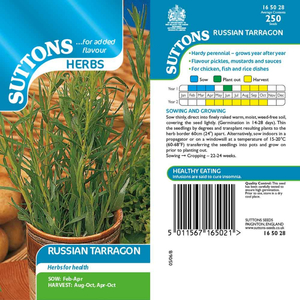 Suttons Seed Tarragon Russian