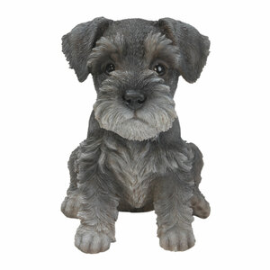 Vivid Arts Miniature Schnauzer Puppy 17cm