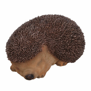 Vivid Arts Sleeping Baby Hedgehog