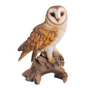 Vivid Arts Barn Owl Real Life