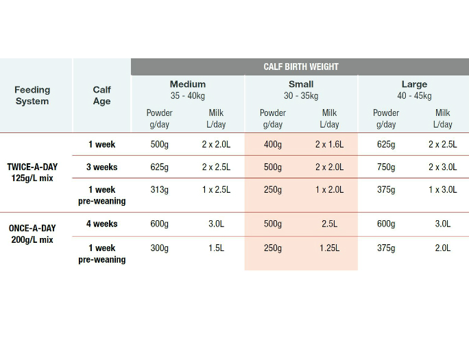 Weaning dairy heifer calves | Tirlán FarmLife