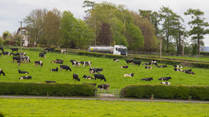 Tirlán June milk price 43.08 cpl