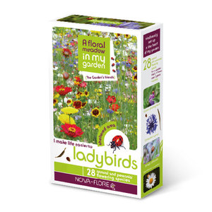 Flower Seeds for Ladybirds