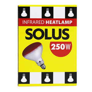 Solus Infra Red 250 Watt Bulb