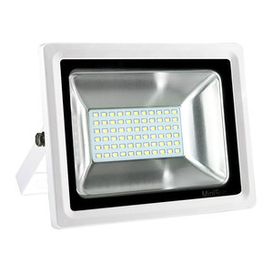 Minisun 30W PRO 2 Floodlight White