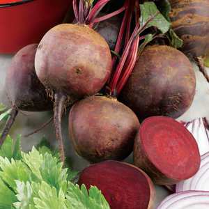 Suttons Seeds Beetroot - Boltardy