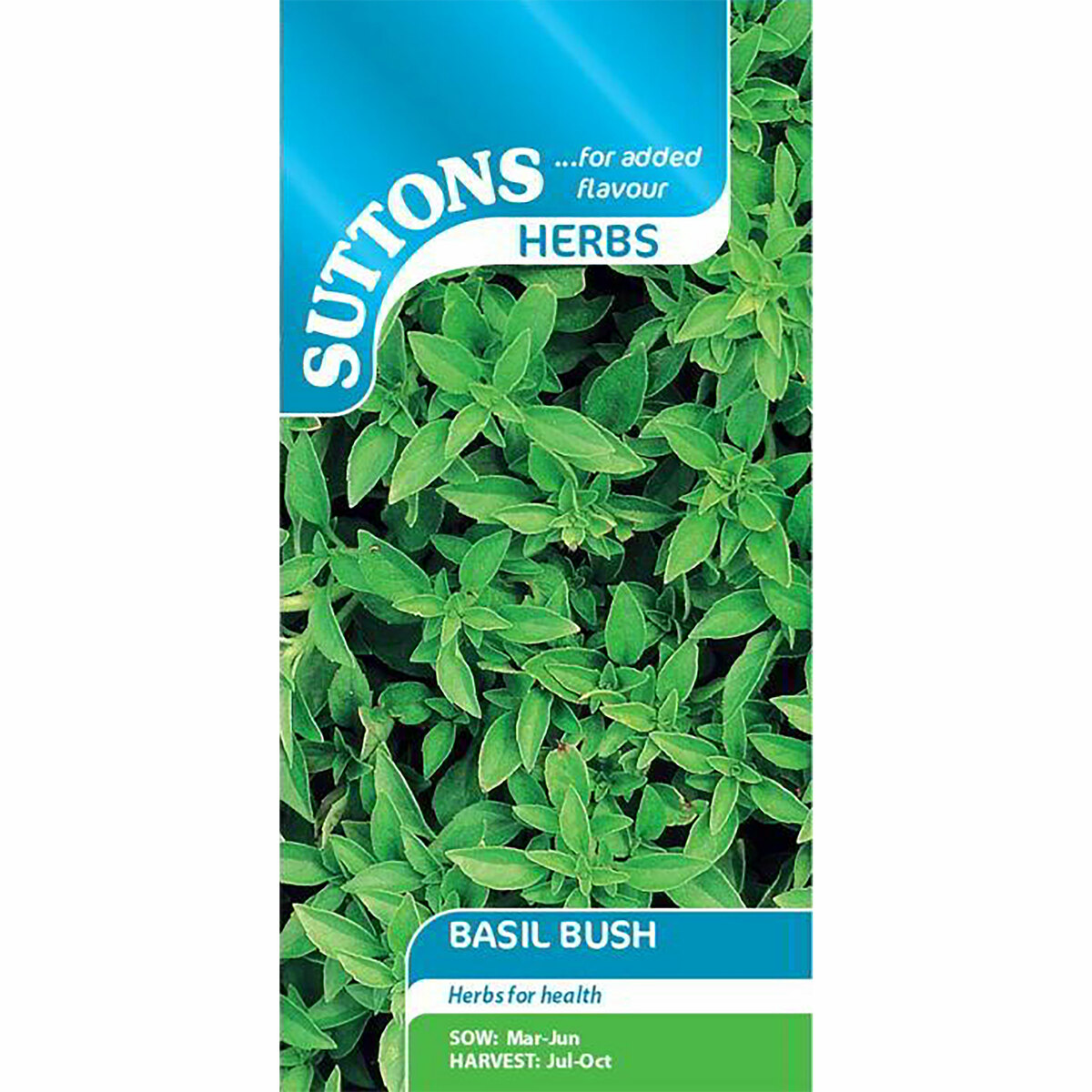 Suttons Seed Basil Bush