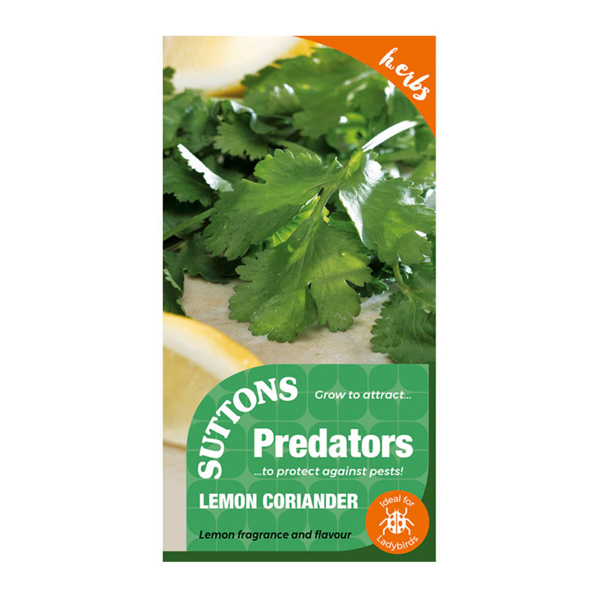 Suttons P & P Lemon Coriander