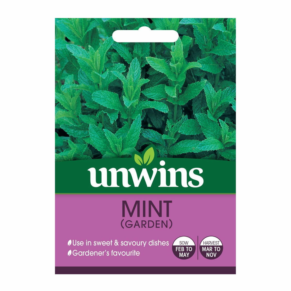 Unwins Herb Mint Garden