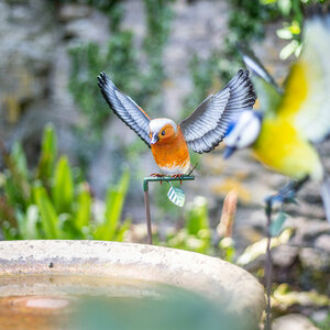 Vida Inquisitive Chaffinch Stake