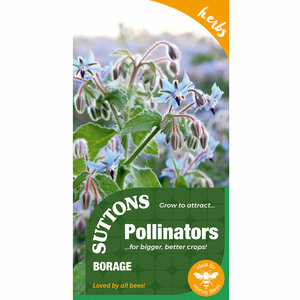 Suttons P & P Borage