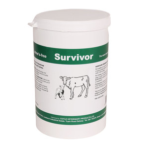 Survivor 1KG