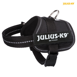 Julius K9