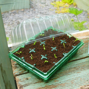 Gro-Sure Visiroot twin Propagator Set