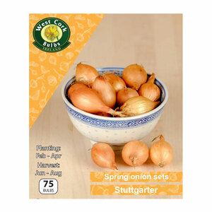 West Cork Onion Sets Stuttgarter 75 Bulbs