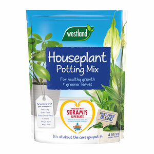 Westland Potting Mix Peat Free 4L